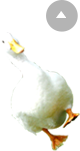 ページの先頭へ